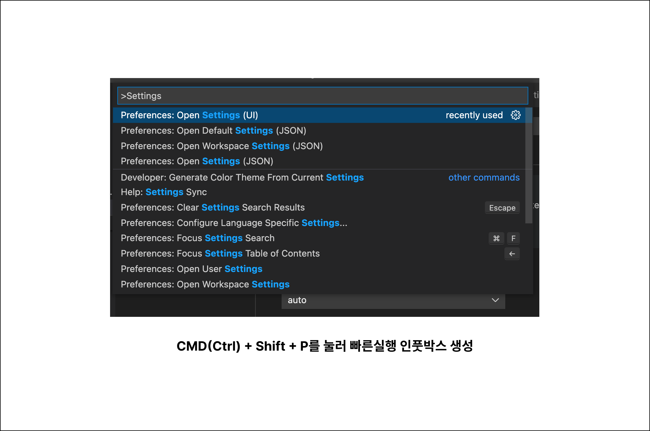CMD(Ctrl) + Shift + P를 눌러 빠른실행 인풋박스 생성