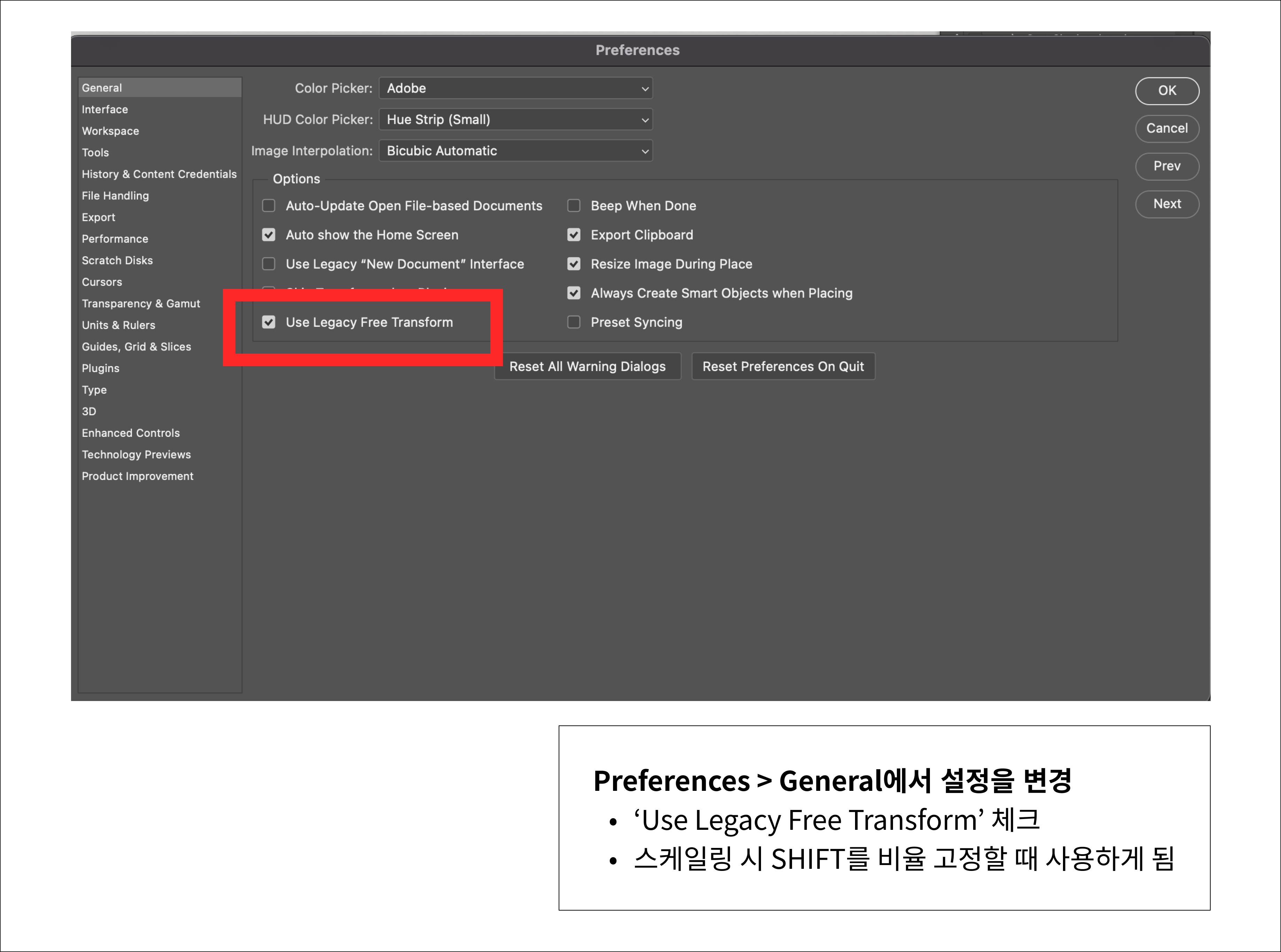 시프트 키를 통한 비율 고정 크기 변경 방식을 적용하는 법