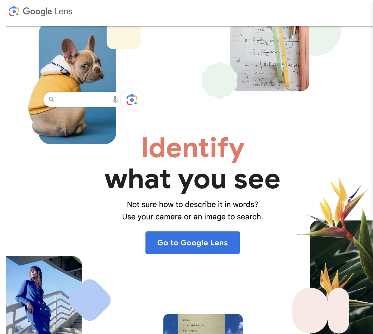 구글 렌즈를 통해 이미지의 대체 텍스트 추출 작업을 횽쥴화할 수 있습니다